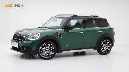 二手Mini COUNTRYMAN COOPER S ALL4艺术家