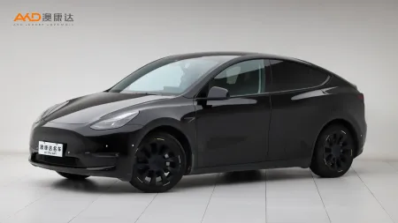 二手特斯拉Model Y 标准续航后驱版