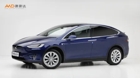 二手特斯拉Model X 100D 长续航版