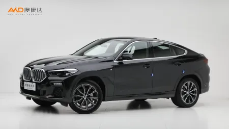 二手宝马X6 xDrive30i M运动套装