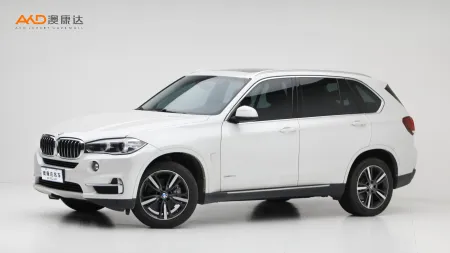 二手宝马X5 xDrive35i 典雅型