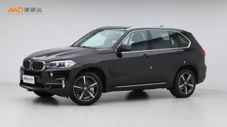 二手宝马X5 xDrive35i 典雅型