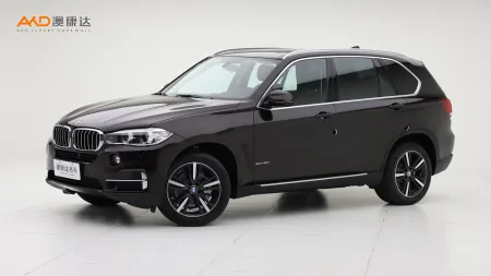 二手宝马X5 xDrive35i 典雅型