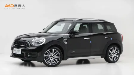 二手Mini COUNTRYMAN COOPER S ALL4艺术家