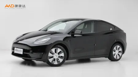 二手特斯拉Model Y 标准续航后驱版