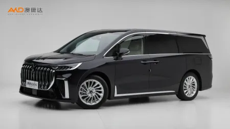 二手岚图梦想家 PHEV 超长续航尊贵版