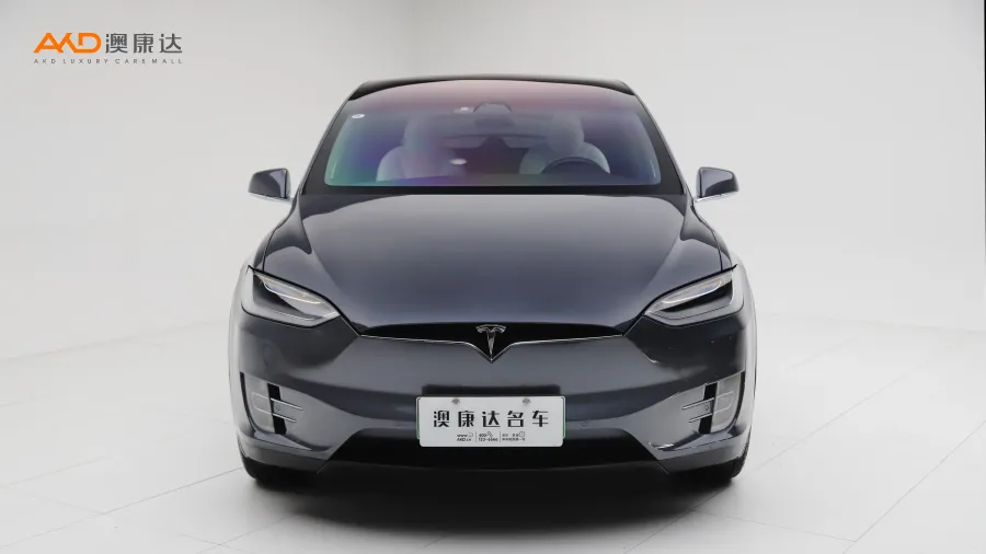 二手特斯拉Model X 长续航版图片3339358