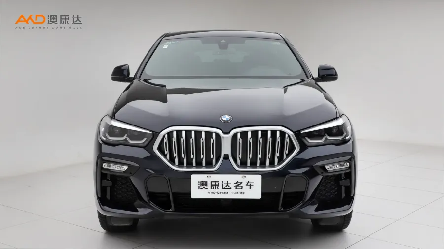 二手宝马X6 xDrive30i M运动套装图片3347134