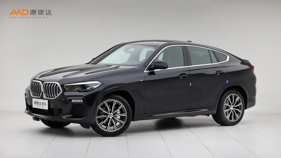 二手宝马X6 xDrive30i M运动套装图片