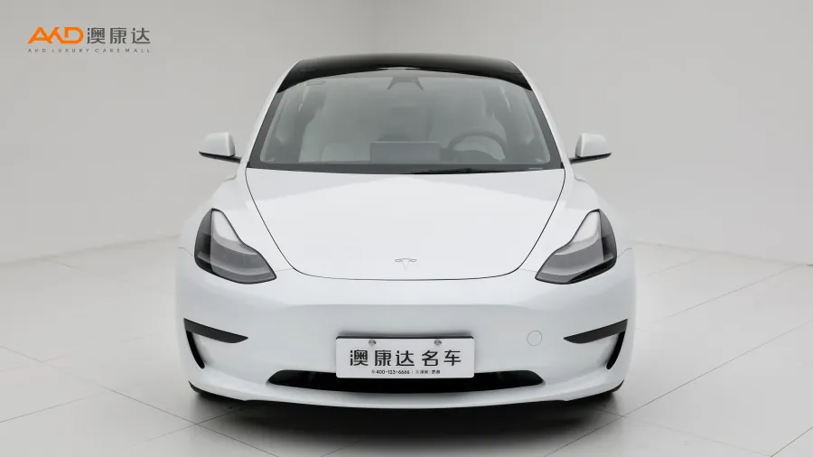 二手特斯拉Model 3  改款 标准续航后驱升级版 3D1图片3380003