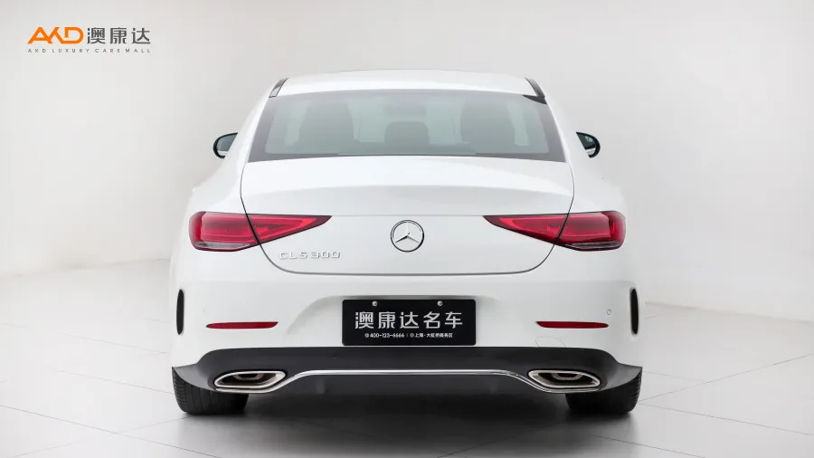 二手奔驰CLS300 动感型图片3400536