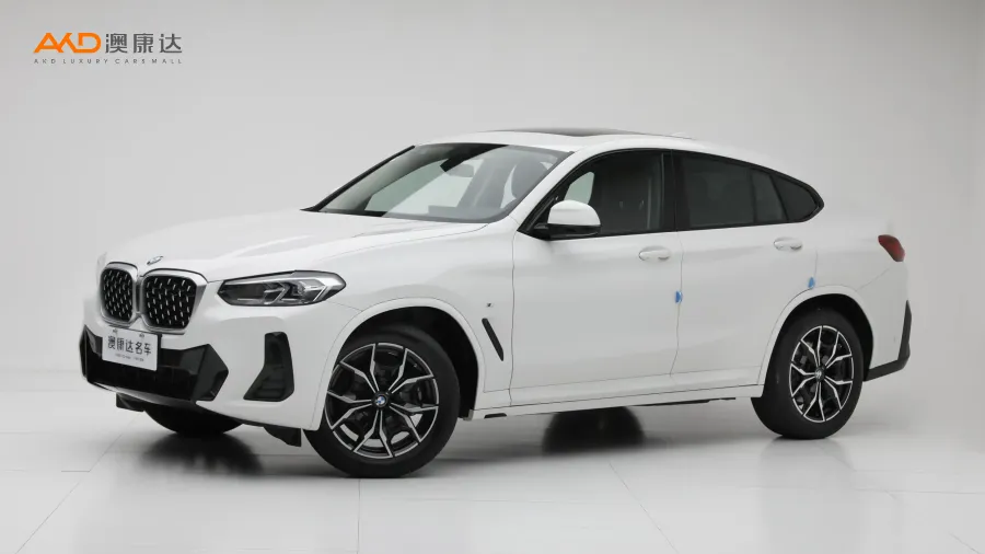 二手宝马X4 xDrive25i M运动套装图片