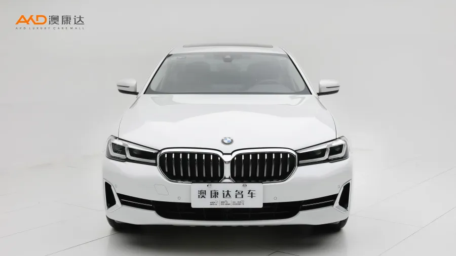 二手宝马530Li 领先型 豪华套装图片3403930