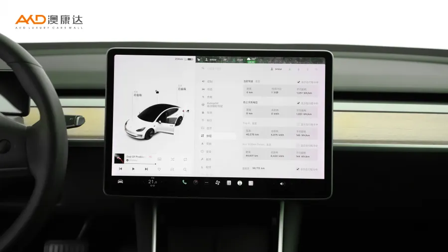 二手特斯拉Model 3 标准续航后轮驱动升级版图片3404193