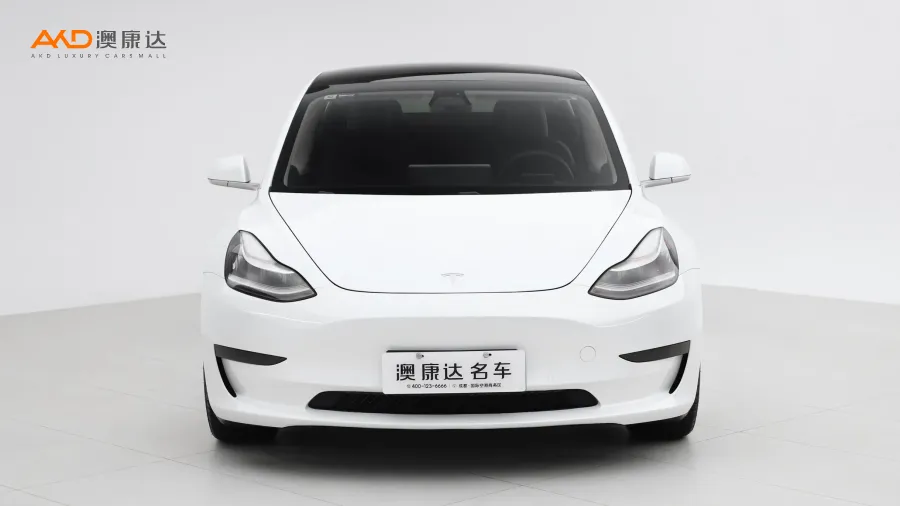 二手特斯拉Model 3 标准续航后轮驱动升级版图片3404157