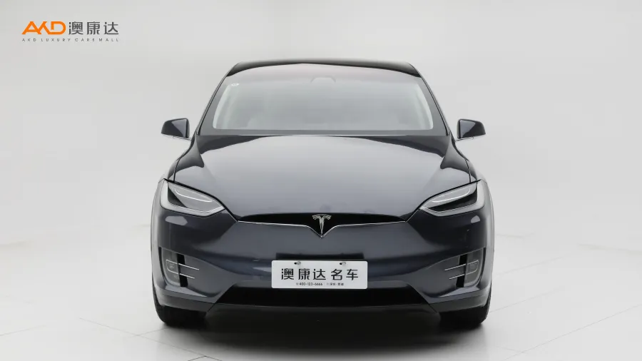 二手特斯拉Model X 100D 长续航版图片3407565