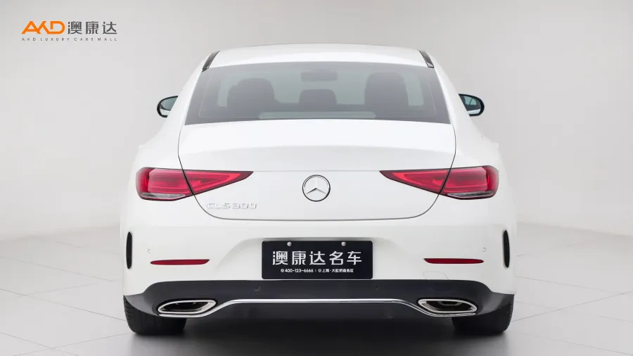 二手奔驰CLS300 动感型图片3409427