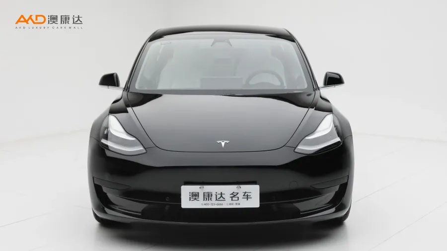 二手特斯拉Model3 标准续航后驱升级版图片3410812