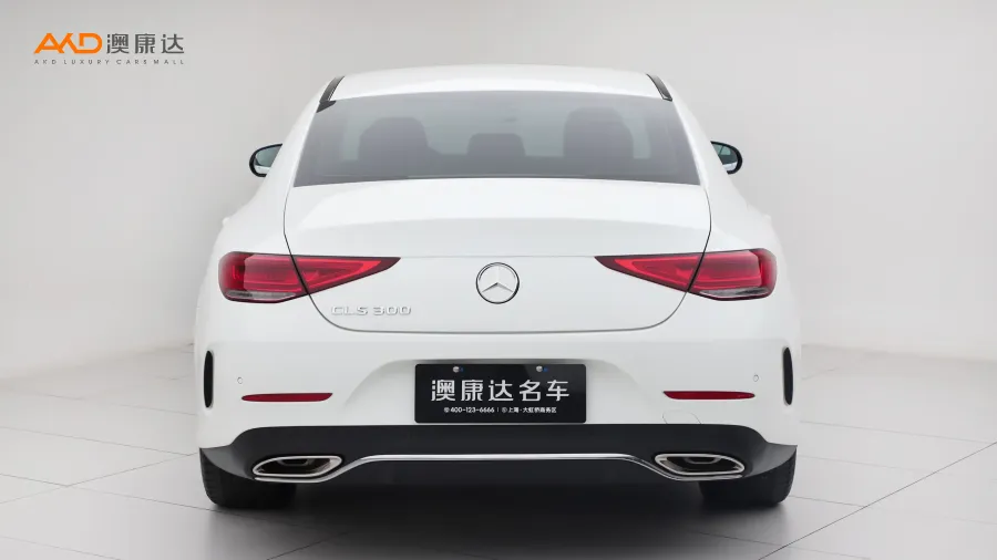 二手奔驰CLS300 动感型图片3425159