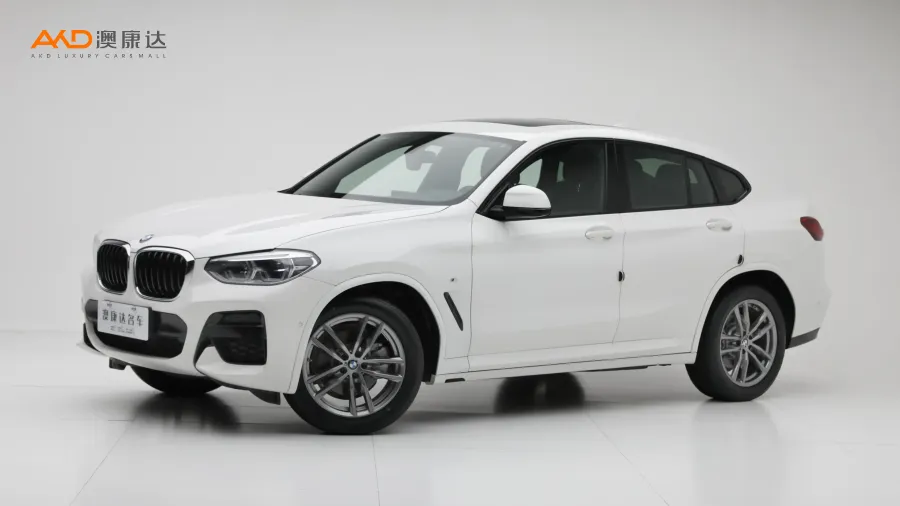 二手宝马X4 xDrive25i M运动套装图片