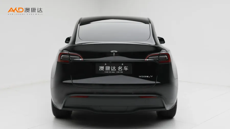 二手特斯拉Model Y 后轮驱动版图片3436736