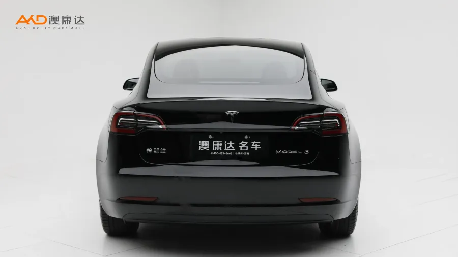 二手特斯拉Model 3 标准续航后驱升级版3D6图片3437480