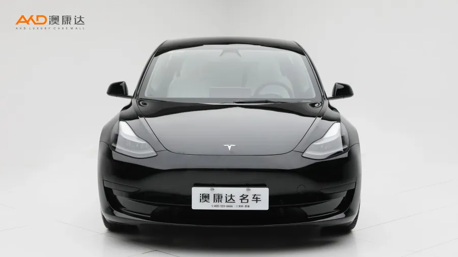 二手特斯拉Model 3 标准续航后驱升级版3D6图片3437473