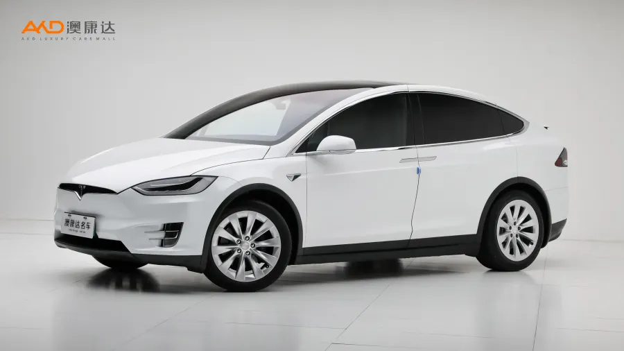 二手特斯拉Model X 90D图片