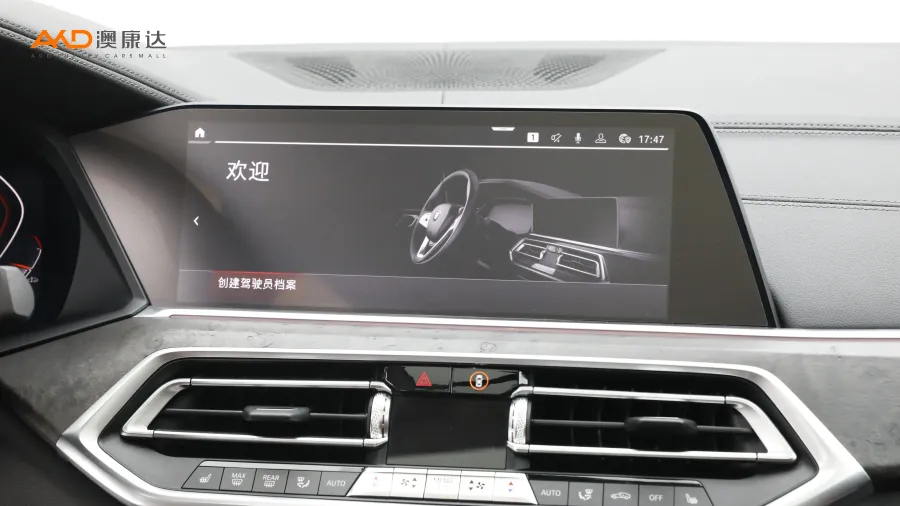 二手宝马X5 xDrive40i M运动套装图片3453518