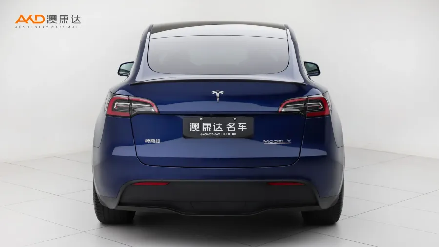 二手特斯拉Model Y Performance高性能全轮驱动版图片3461521