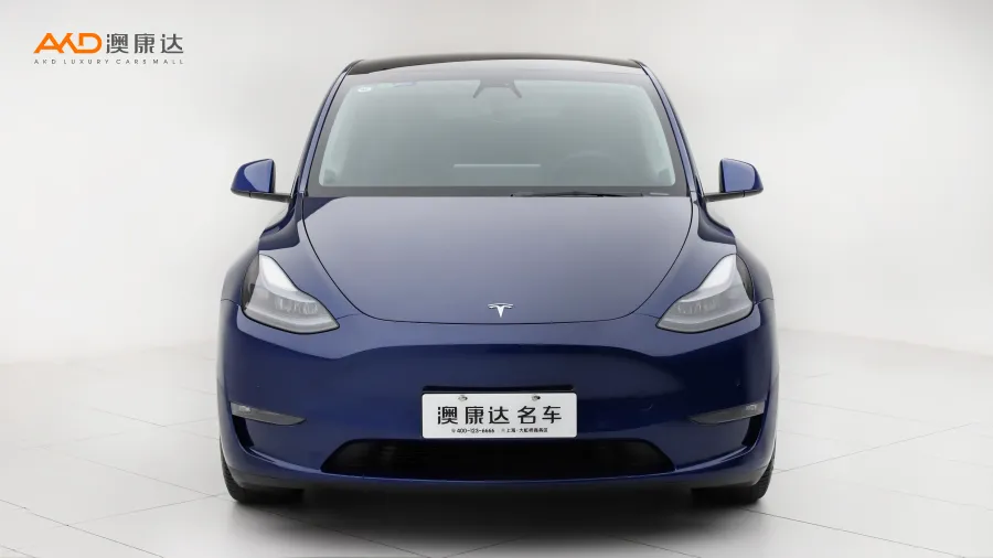 二手特斯拉Model Y Performance高性能全轮驱动版图片3461515