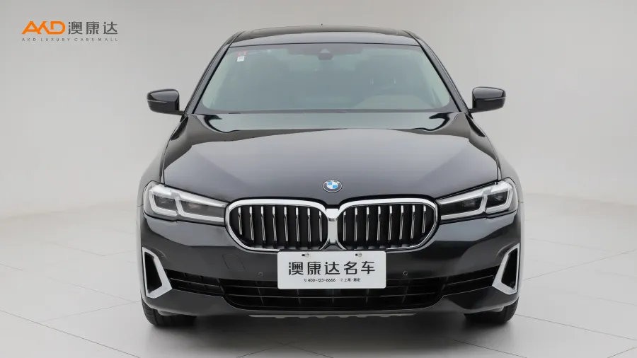 二手宝马530Li 领先型 豪华套装图片3463106