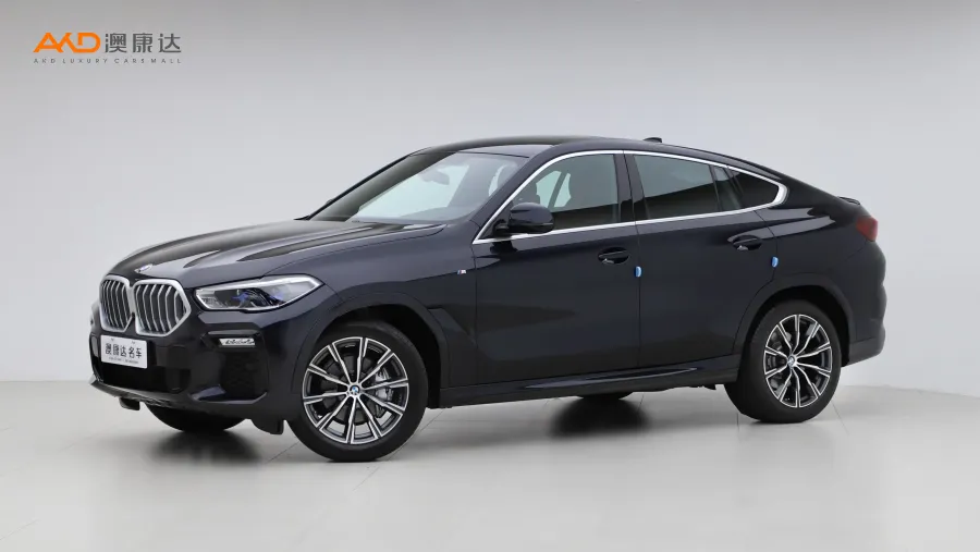 二手宝马X6 xDrive40i M运动套装图片