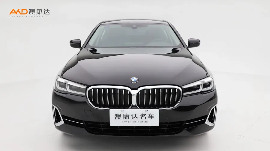 二手宝马530Li 领先型 豪华套装图片3465898