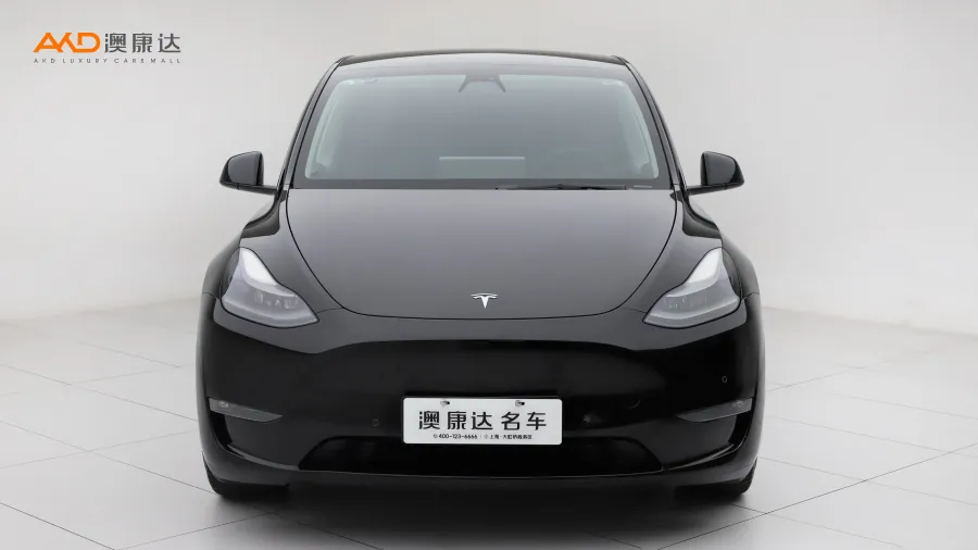 二手特斯拉Model Y 长续航全轮驱动版3D7图片3467838