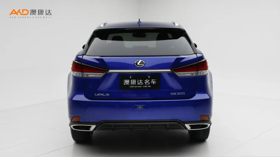 二手雷克萨斯RX300  改款 四驱 F SPORT版图片3470165