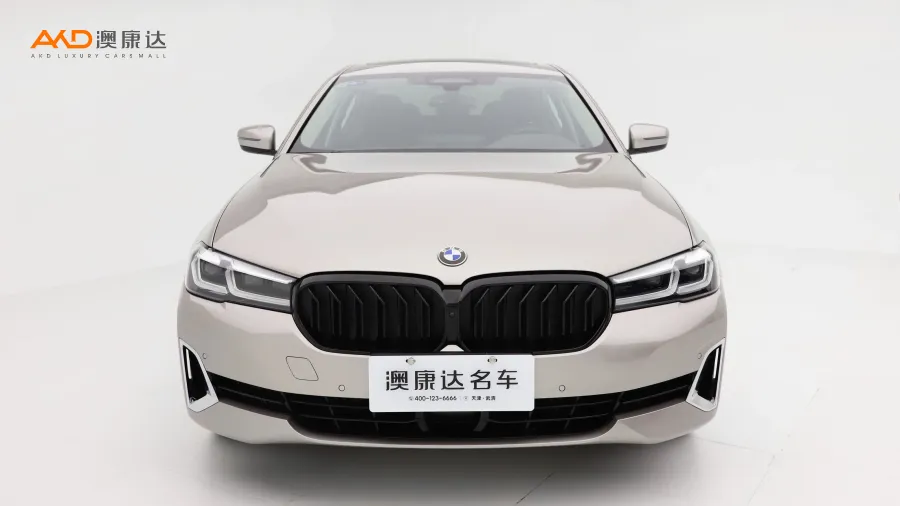 二手宝马530Li 行政型 豪华套装图片3473093