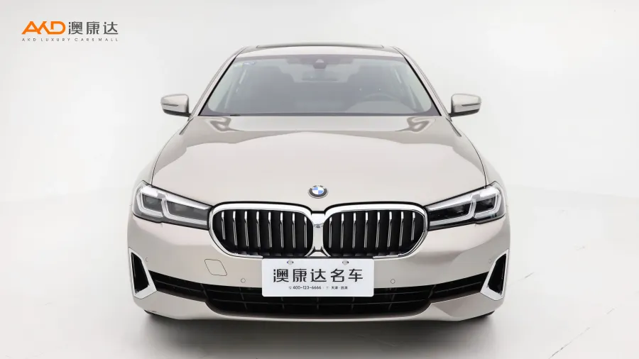 二手宝马530Li 领先型 豪华套装图片3475719