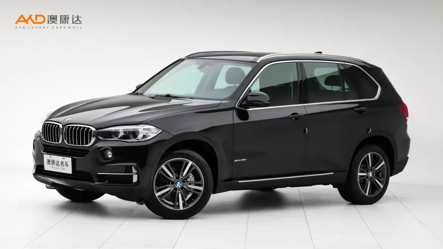 二手宝马X5 xDrive35i 典雅型图片