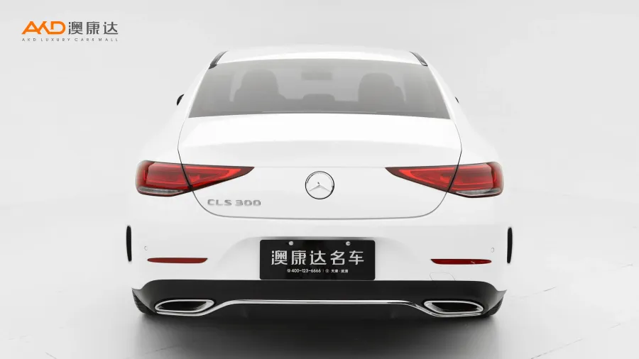 二手奔驰CLS300 动感型图片3480090