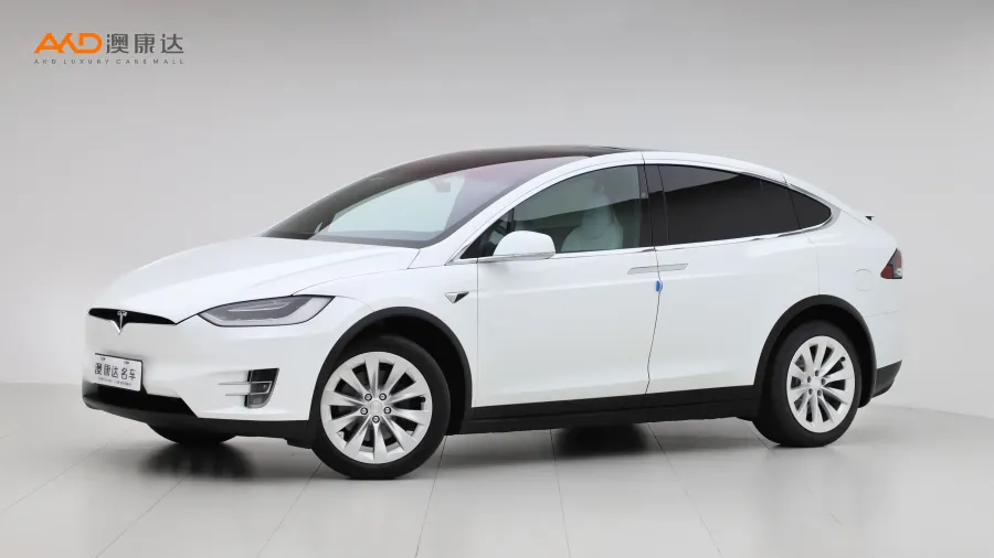 二手特斯拉Model X 100D 长续航版图片