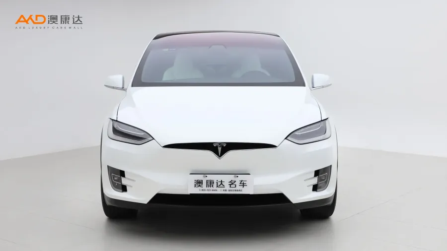 二手特斯拉Model X 100D 长续航版图片3483665