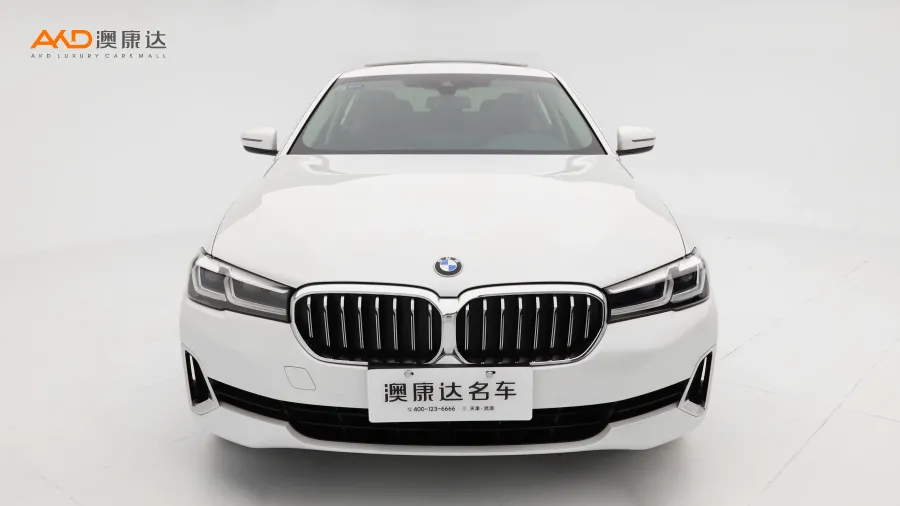 二手宝马530Li 领先型 豪华套装图片3484918