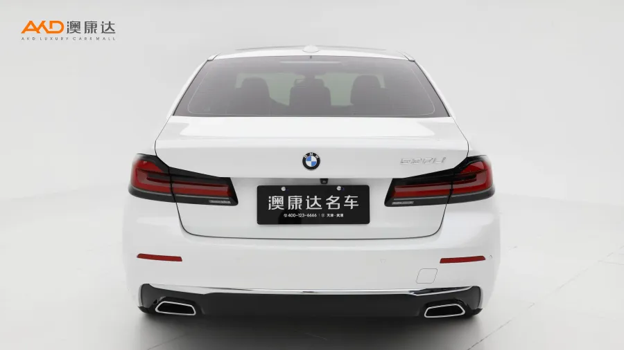 二手宝马530Li 领先型 豪华套装图片3484924