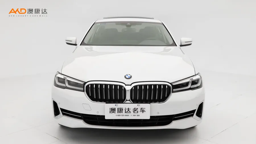 二手宝马530Li 领先型 豪华套装图片3486694