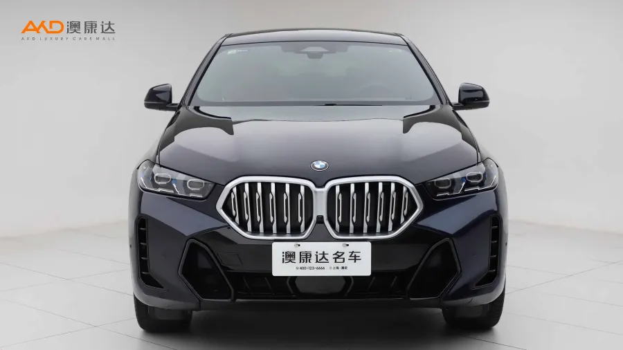 二手宝马X6 xDrive40i M运动套装图片3486478