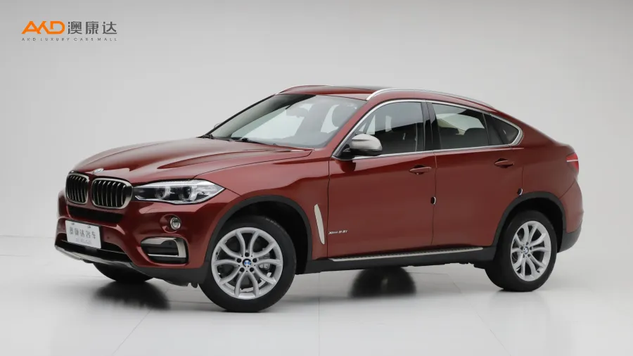 二手宝马X6 xDrive28i图片