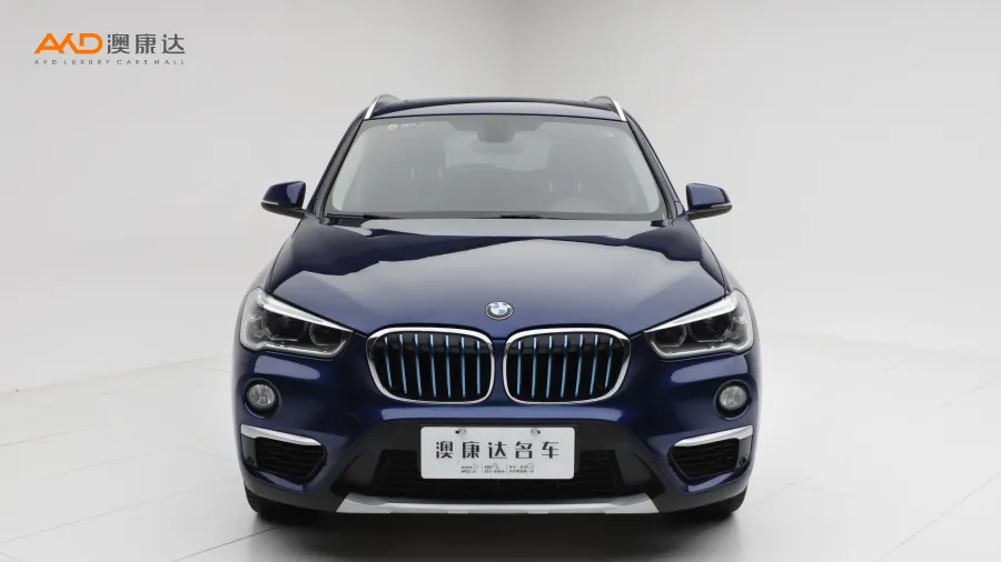 二手宝马X1 xDrive25Le 豪华型图片3490665