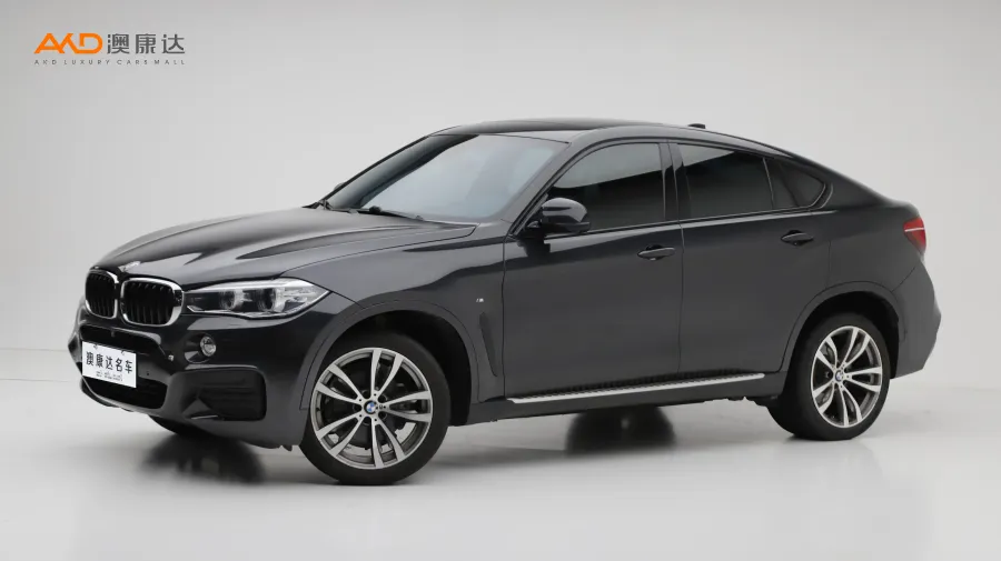 二手宝马X6 xDrive28i M运动套装图片