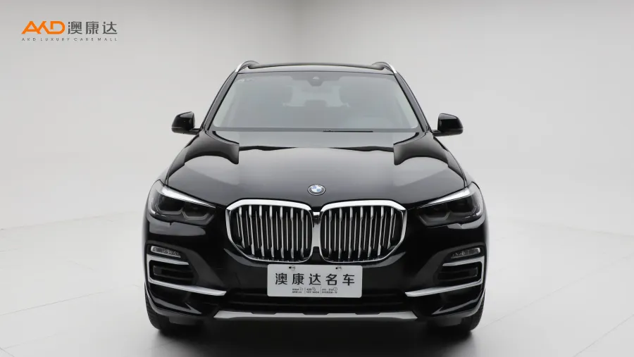 二手宝马X5 xDrive30i X设计套装图片3492643